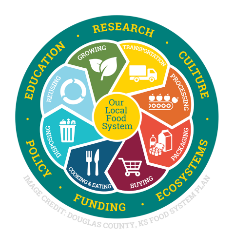 Our Local Food System Infographic, Douglas County Food System Plan